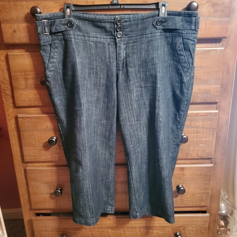 Boom Boom Dark Flood Pants.  Size 22W.  Perfect Condition!